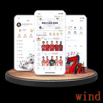 天博手机APP最新下载入口指南 天博手机APP最新下载入口指南